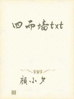 四面墙txt封面