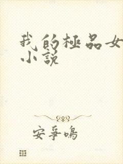 我的极品女老师小说封面