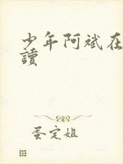 少年阿斌在线阅读