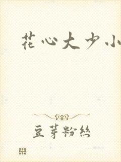 花心大少小说