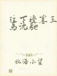 往下边塞玉器骑马沈驰封面