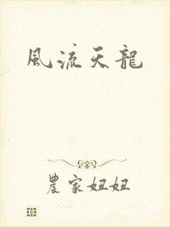 风流天龙封面