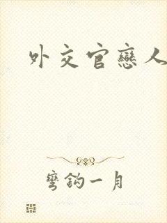 外交官恋人小说