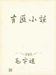 有匪小说