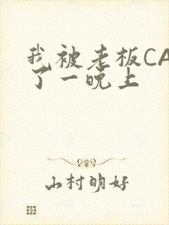 我被老板CAO了一晚上封面