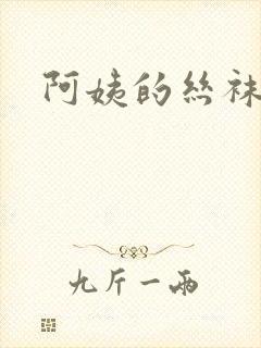 阿姨的丝袜小说