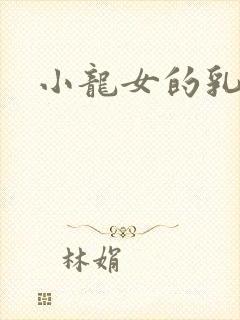 小龙女的乳头封面