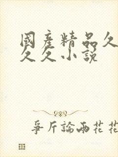 国产精品久久久久久小说