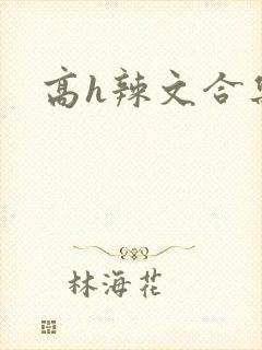 高h辣文合集封面