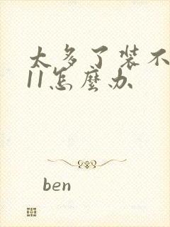 太多了装不下h11怎么办封面