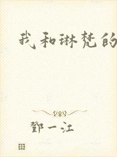 我和琳梵的故事