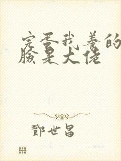 完蛋我养的小白脸是大佬封面