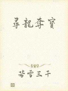 寻龙夺宝