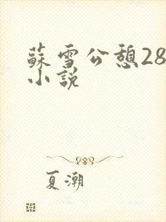 苏雪公憩28篇小说
