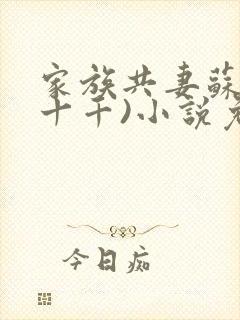 家族共妻苏苏(十千)小说免费