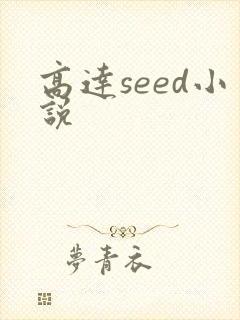 高达seed小说