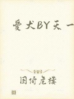 爱犬BY天一