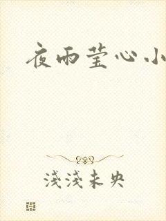 夜雨莹心小说