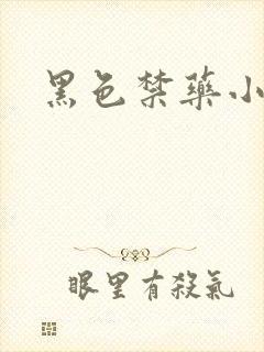 黑色禁药小说