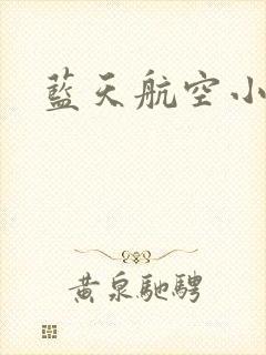 蓝天航空小说封面