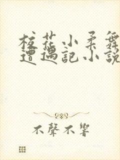 校花小柔舞蹈室遭遇记小说