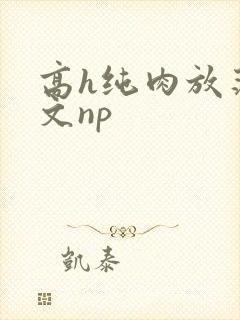 高h纯肉放荡h文np