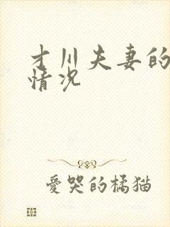 才川夫妻的恋爱情况