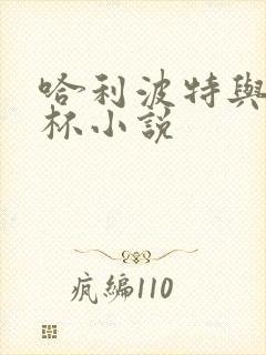 哈利波特与火焰杯小说