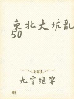 东北大坑乱1—50