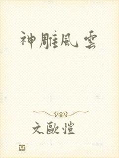神雕风云