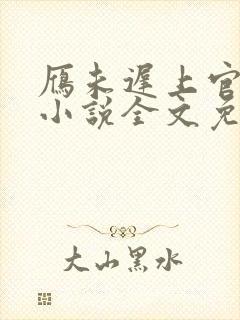 雁未迟上官穿越小说全文免费阅读