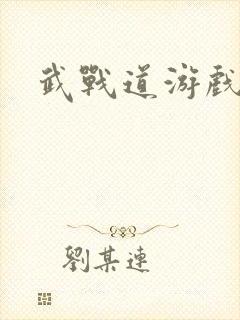 武战道游戏