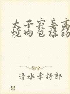 太子宠妾高肉红烧肉包讲的什么