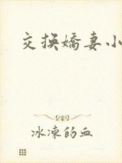 交换娇妻小说封面