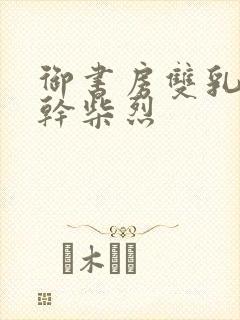 御书房双乳晃动干柴烈