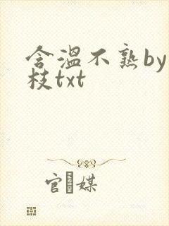含温不熟by词枝txt