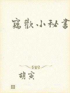 窃欢小秘书