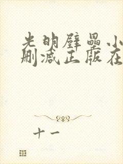 光明壁垒小说无删减正版在线阅读封面