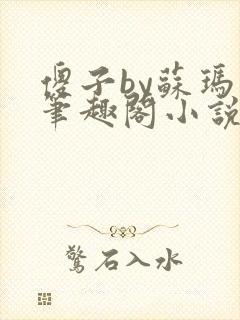 傻子by苏玛丽笔趣阁小说封面