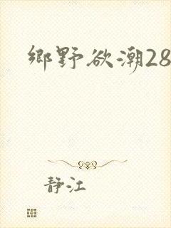 乡野欲潮28章