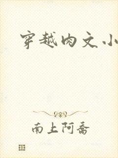 穿越肉文小说封面