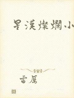 星汉灿烂小说