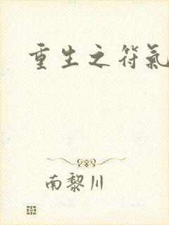 重生之符气冲天封面