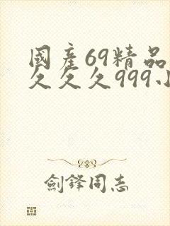 国产69精品久久久久999小说