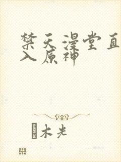 禁天漫堂直接进入原神