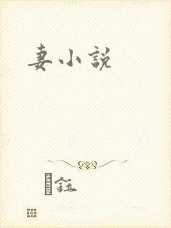 妻小说