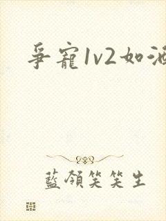 争宠1v2如酒封面