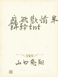 瘾欲欢愉半块小饼干tnt