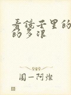 看镜子里的你叫的多浪封面