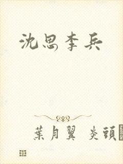 沈思李兵封面